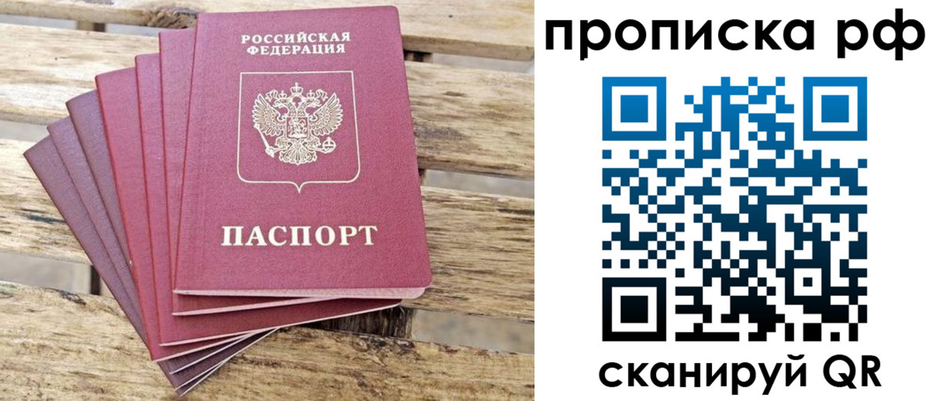 прописка гарантия в Цимлянске